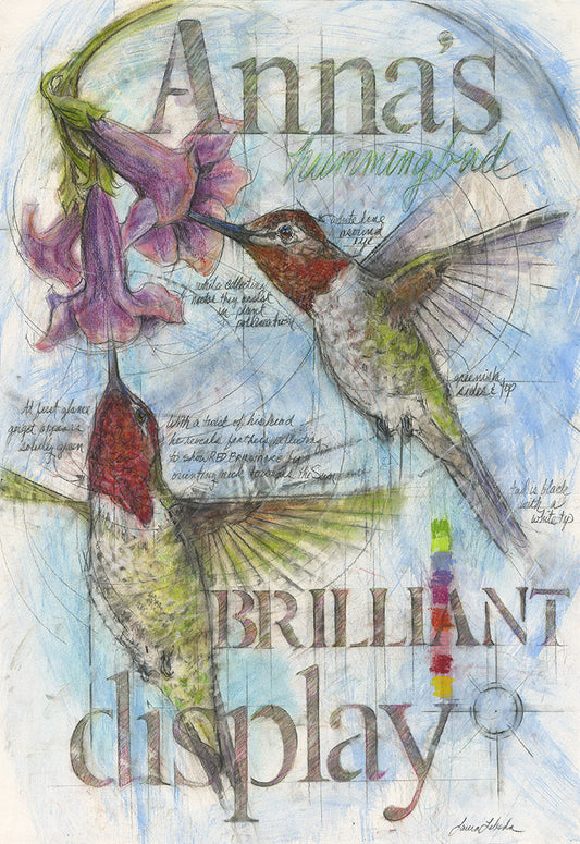 "Brilliant Display" Hummingbirds, 26" x 34"