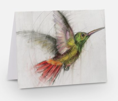 Note Cards - Hummingbird Multi-Color