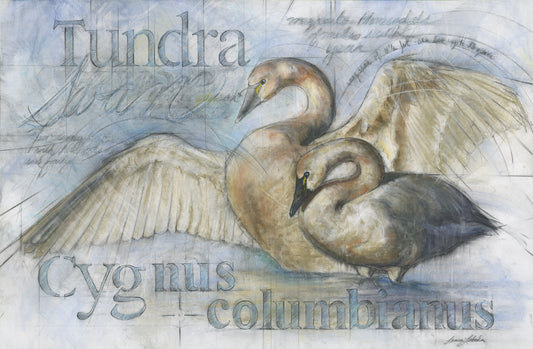 "Tundra Swans" - 42" x 29"